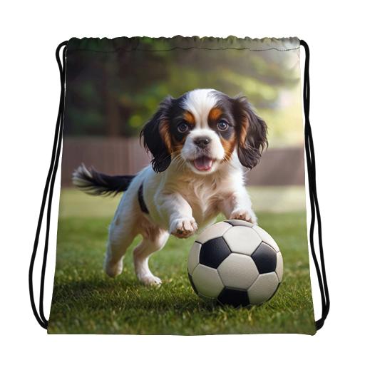 Playful, Cavalier pup playing football / soccer.