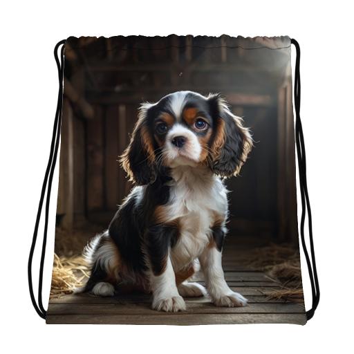 Cavalier pup sits in the barn
